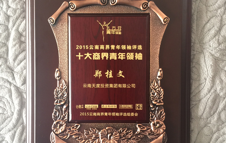 在“互聯(lián)網(wǎng)大時(shí)代”的背景下，天度作為本土很大和很有名的互聯(lián)網(wǎng)服務(wù)企業(yè)，為近萬家傳統(tǒng)企業(yè)轉(zhuǎn)型互聯(lián)網(wǎng)+提供了服務(wù)和幫助，獲此獎(jiǎng)項(xiàng)后，我們將再接再厲，創(chuàng)造更高的社會(huì)價(jià)值